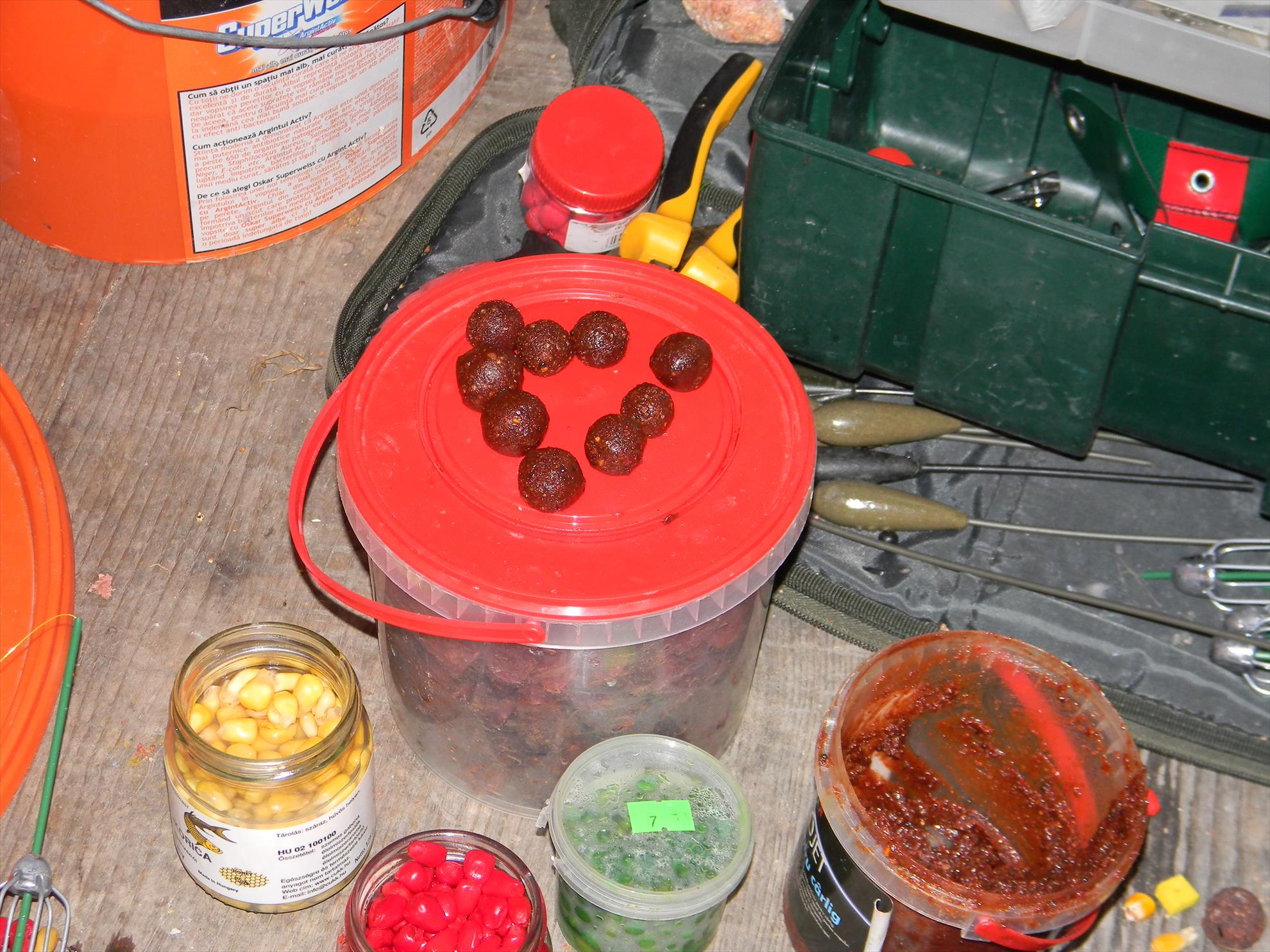 Debut mania 3-6 sep 2012 - dscn7592.JPG